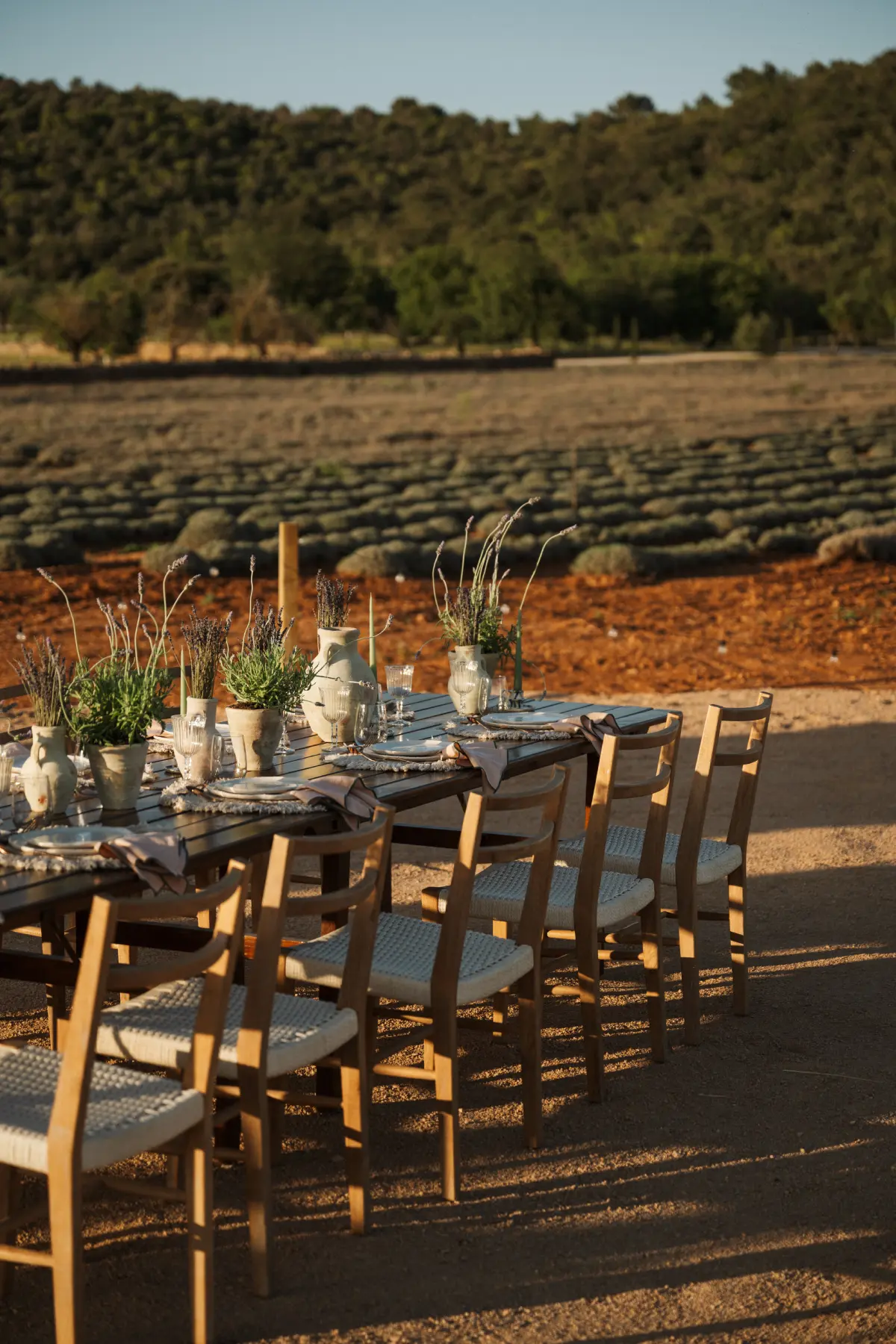 Mesa preparada al aire libre frente al campo de lavandas de The Lodge